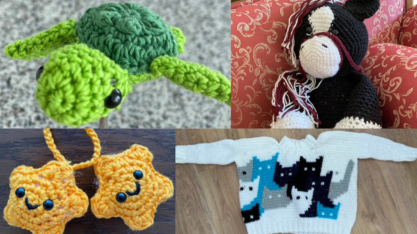 10th Grade Student Creates ‘Crafty Paws’ to Help Charities