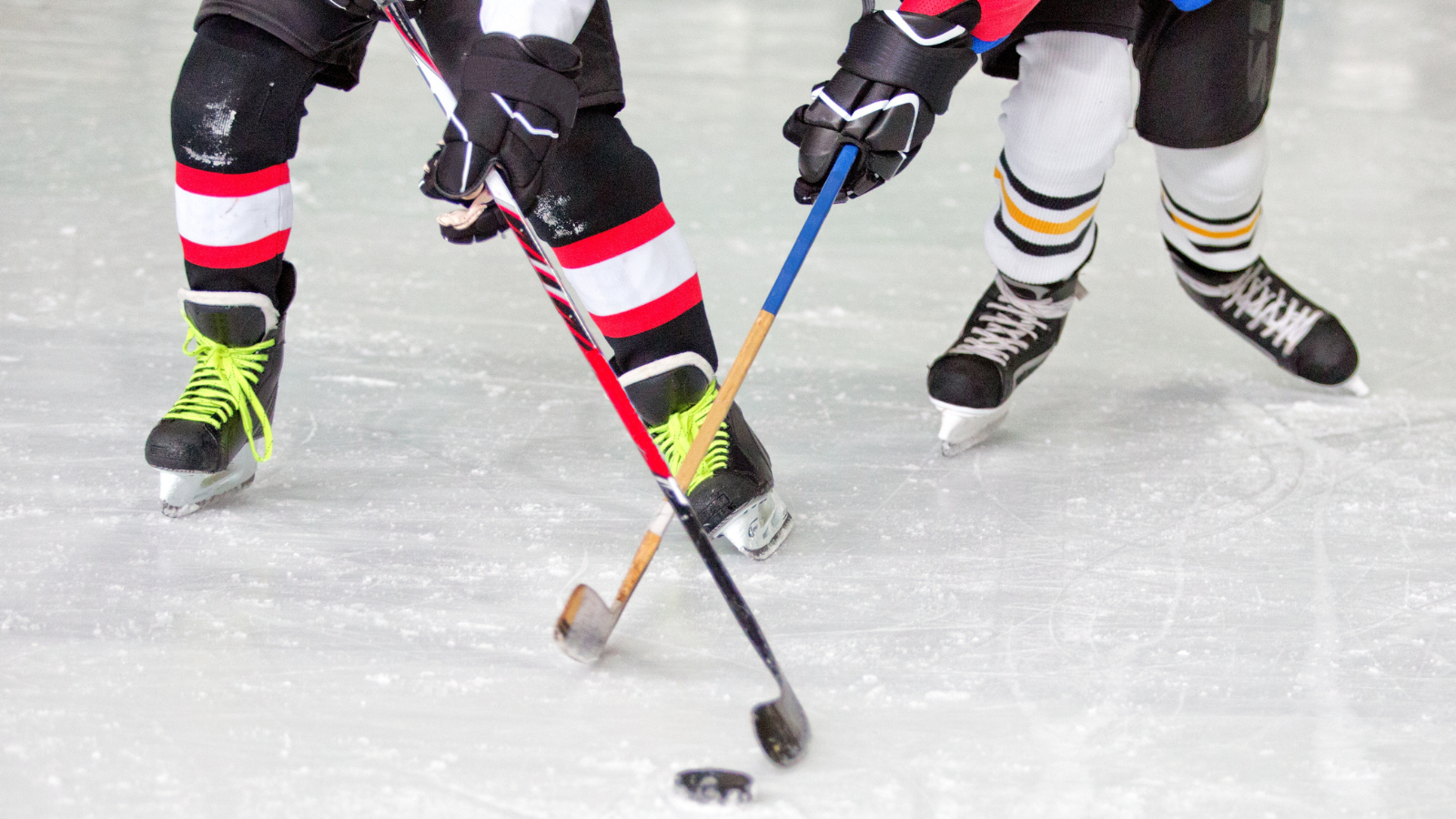 Toledo Walleye host field trip for virtual school students from across Ohio