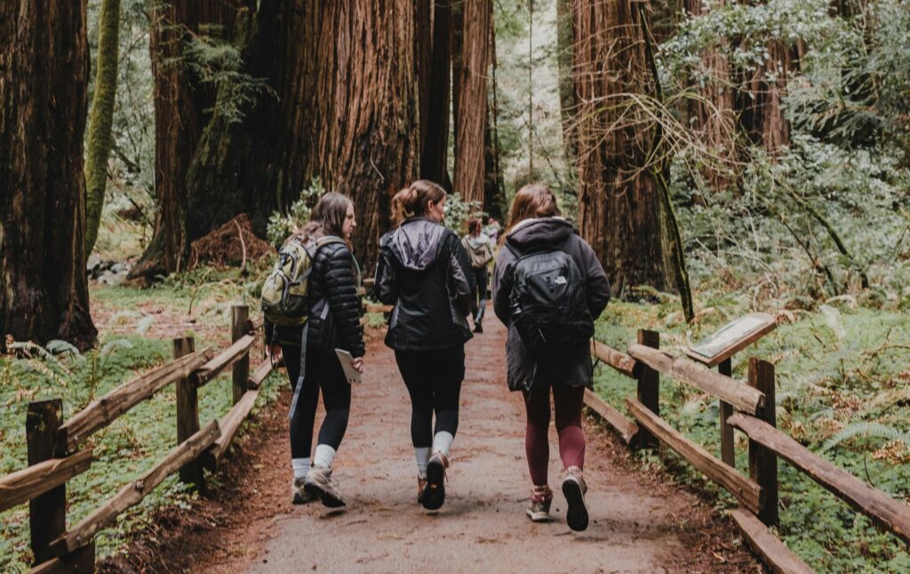 young people in the forests